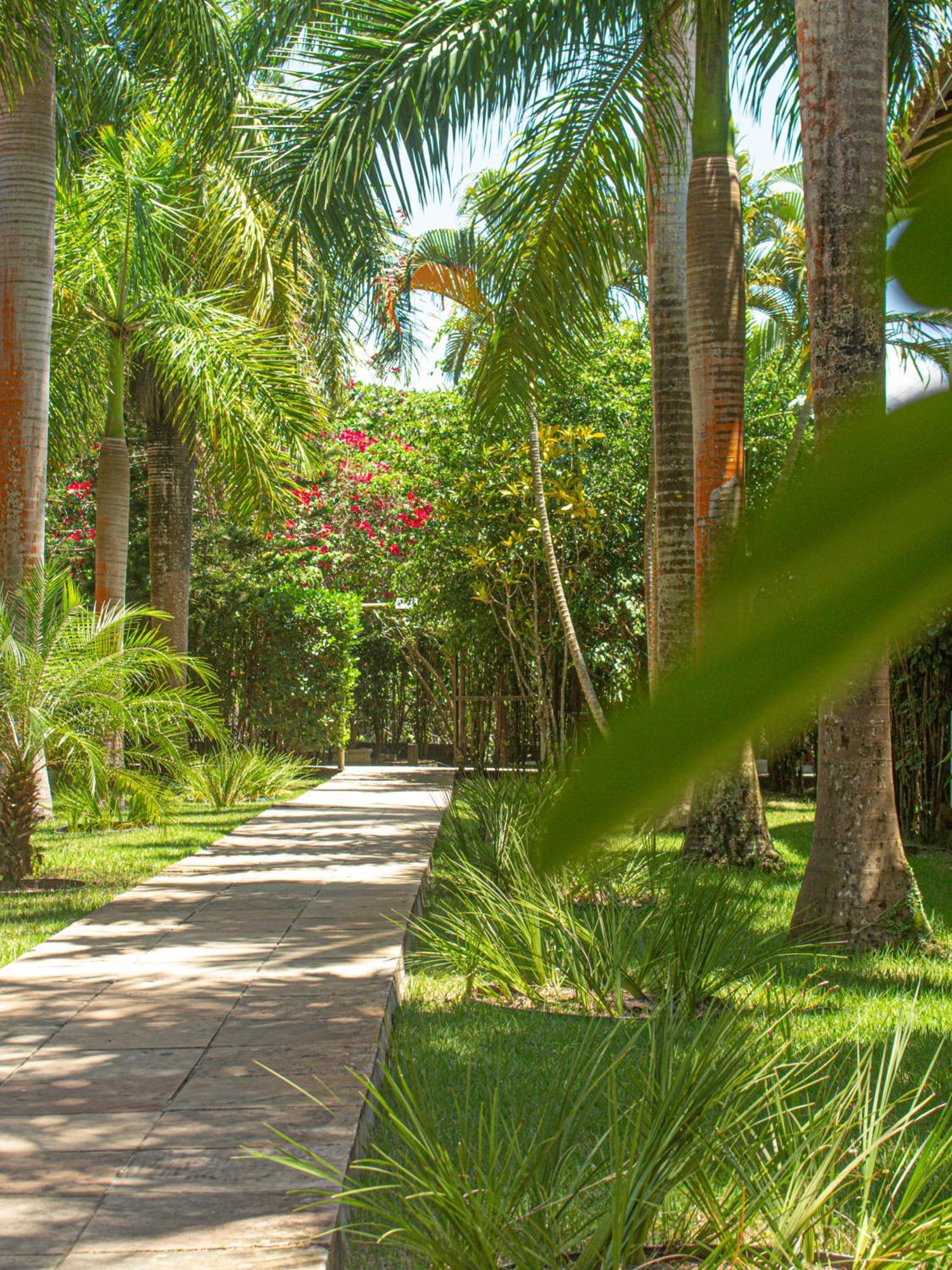 Sunshine Praia Hotel Porto Seguro Bagian luar foto